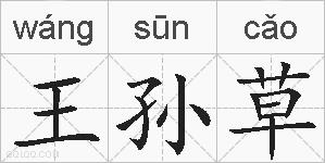 王孙草的拼音