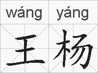 王杨的拼音