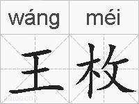 王枚的拼音