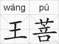 王菩的拼音