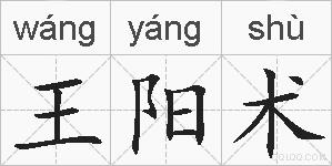 王阳术的拼音
