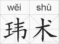 玮术的拼音