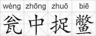瓮中捉鳖的拼音