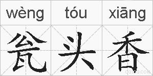 瓮头香的拼音