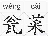 瓮菜的拼音