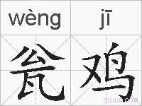瓮鸡的拼音