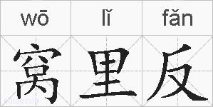 窝里反的拼音
