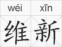 维新的拼音