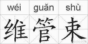 维管束的拼音
