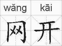 网开的拼音