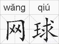 网球的拼音