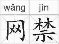 网禁的拼音