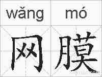 网膜的拼音