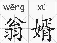 翁婿的拼音