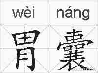 胃囊的拼音