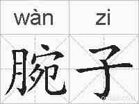 腕子的拼音