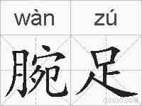 腕足的拼音