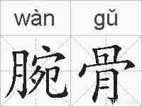腕骨的拼音