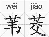 苇茭的拼音