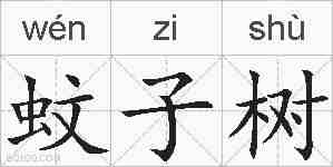 蚊子树的拼音