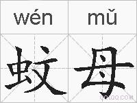 蚊母的拼音
