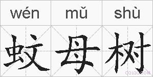 蚊母树的拼音
