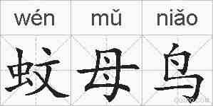 蚊母鸟的拼音