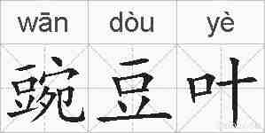 豌豆叶的拼音