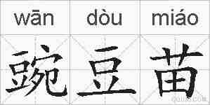 豌豆苗的拼音