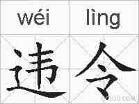 违令的拼音