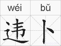 违卜的拼音
