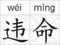 违命的拼音