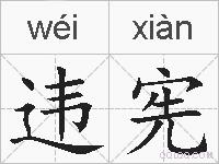 违宪的拼音