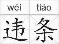 违条的拼音