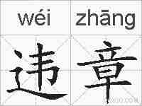 违章的拼音