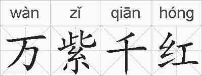万紫千红的拼音