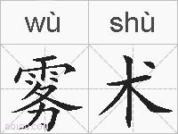 雾术的拼音