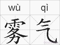 雾气的拼音