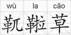 靰鞡草的拼音