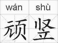 顽竖的拼音