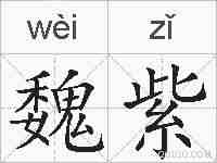 魏紫的拼音