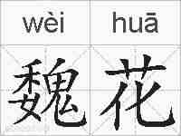 魏花的拼音