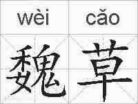 魏草的拼音