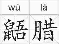 鼯腊的拼音