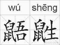 鼯鼪的拼音