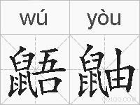 鼯鼬的拼音