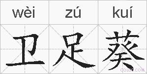卫足葵的拼音