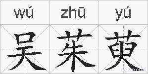 吴茱萸的拼音