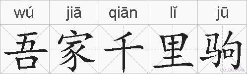 吾家千里驹的拼音
