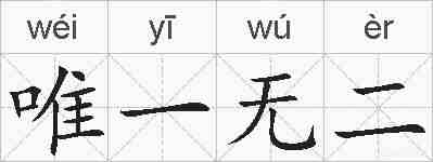 唯一无二的拼音